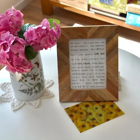 Dans Le Centre De Cassel