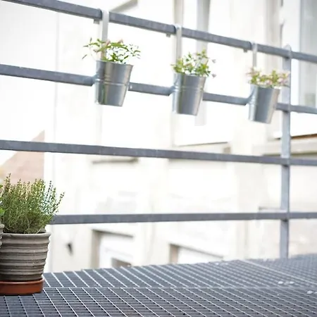 Dans Le Centre De Apartman Cassel